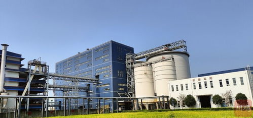 新春走基層丨自貢開放通道 上新 跨境電商產業蓄勢待發